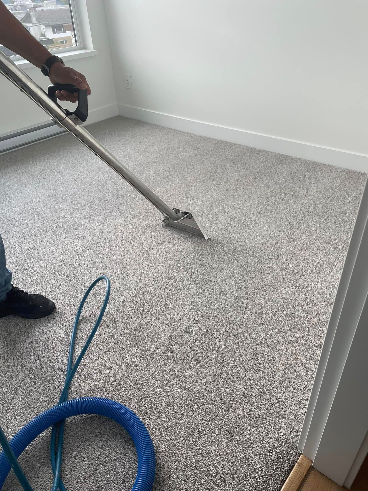 Carpet Extraction — Live Action