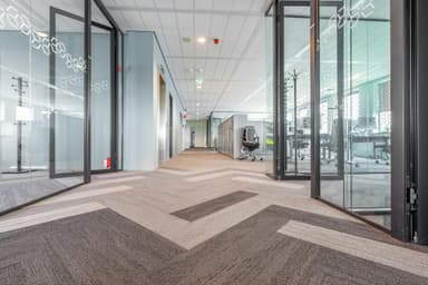 Carpet Cleaning